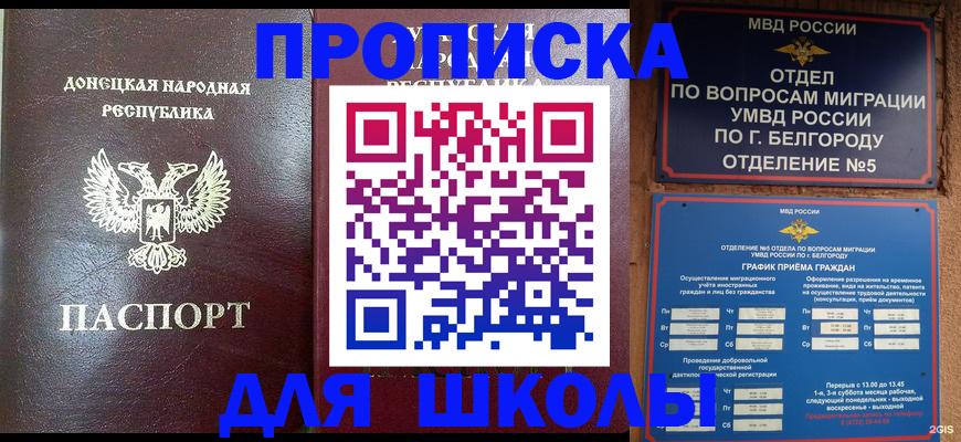 прописка для работы в Кингисеппе